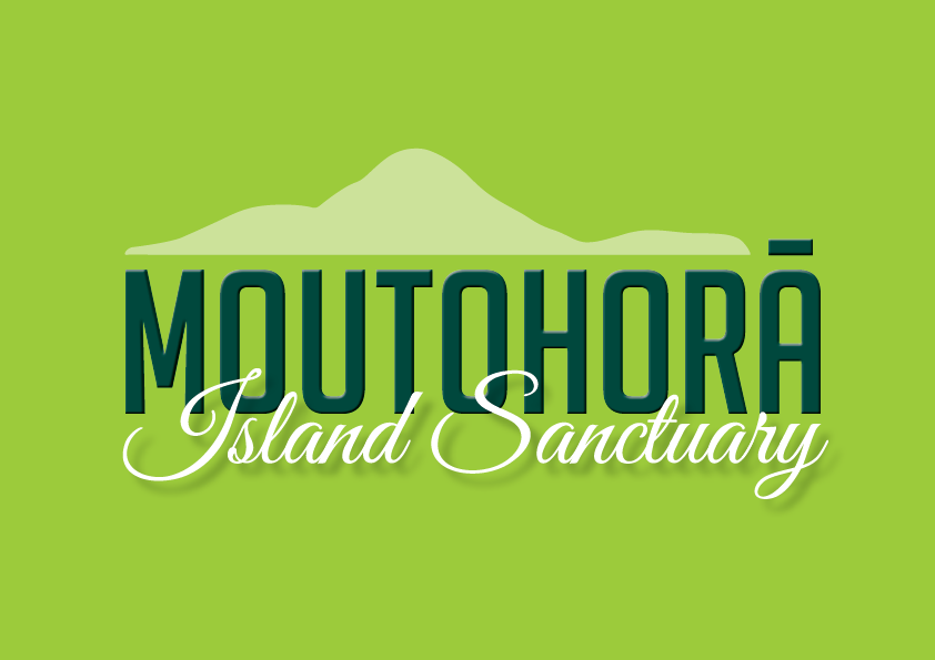 Moutohora Island Tours - Moutohora Island Tours offer the opportunity to explore New Zealand most active volcano, Whakaari/White Island.